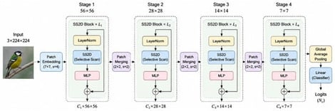 Architecture of the VMamba-Tiny baseline. SS2D denotes Selective Scan 2D, the native state-space operator used within the VMamba stages.