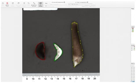 Data annotation image.