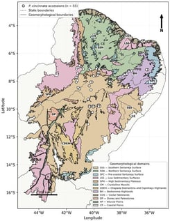 Geographic distribution of the 55 Passiflora cincinnata accessions conserved in the Active Germplasm Bank (BAG Passiflora) of Embrapa Semiárido across the Brazilian Caatinga. White circles indicate collection sites superimposed on the geomorphological domains of the biome. Solid lines delimit geomorphological domains, and dashed lines indicate state boundaries. The map illustrates the broad geographic and environmental representativeness of the ex situ collection across the major geomorphological regions of the Caatinga. Coincident collection sites were slightly displaced to improve visualization. Geomorphological-domain boundaries were obtained from the spatial dataset provided by Moro et al. [20], whereas state boundaries were obtained from the 2025 Digital Municipal Mesh of the Brazilian Institute of Geography and Statistics [21].