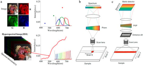 Comparison of spectral modalities and conventional scanning architectures. (a) Schematic illustration qualitatively comparing RGB imaging and hyperspectral imaging. Reproduced from Ref. [25] under the Creative Commons Attribution 4.0 International License. (b) Schematic illustration of the whiskbroom (point) scanning architecture Reproduced from Ref. [27] under the Creative Commons Attribution 4.0 International License. (c) Schematic illustration of the pushbroom (line) scanning architecture (PGP, prism-grating-prism). Reproduced from Ref. [27] under the Creative Commons Attribution 4.0 International License.