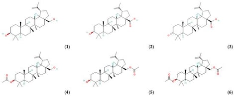 Structures of betulin (1), betulinic acid (2), betulonic acid (3), betulin 3-acetate (4), betulin 28-acetate (5), and betulin 3,28-diacetate (6).