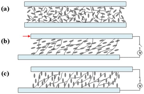 Schematic diagram of the SPNLC cell. (a) After polymerization; (b) after shearing (the red arrow indicates the direction of shearing); (c) after electric field application.