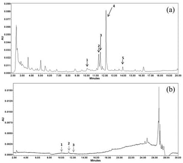 UPLC-DAD chromatogram of phenolic compounds identified in (a) the WAWaq-free extract and (b) the WAWaq extract after alkaline hydrolysis. 1: p-coumaric acid. 2: Ferulic acid. 3: Quercetin 3-β-D-glucoside. 4: Quercetin. 5: Rutin.