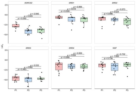 Pituitary gene expression of SORCS2, DRD1, DRD2, DRD3, DRD4, and NGF in three experimental populations (P1–P3).