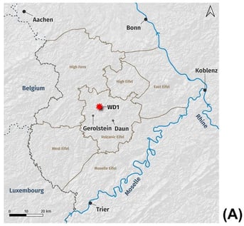 (A) Location of the Eifel in western Germany, showing various subdivisions, the analysed drill core of the Walsdorfer maar (WD1), as well as the neighbouring countries. In addition to rivers of significance for the mountainous terrain, six localities are marked. (B) Geological context of the West Eifel Volcanic Field within the German Eifel, showing pyroclastic, effusive and pre-Quaternary volcanic units against the sedimentary and unconsolidated basement, and the analysed drill core (WD1). Maps created using QGIS (version 3.40.2): scale 1:1,000,000, EPSG:3857; basemap: elevation hillshade derived from the Copernicus DEM GLO-30 (© European Union, Copernicus) via the QGIS Contour Lines plugin; data: WD1 drill core by F. Sirocko, F. Schenk; localities: Wikidata, CC0 (Public Domain), via http://w.wiki/FcVR (accessed on 14 September 2026); rivers: Rhine: OSM relation 123924, Moselle: OSM relation 390416, OpenStreetMap contributors, ODbL 1.0; countries: EuroGeographics for the administrative boundaries, CC BY 4.0, via Eurostat; Eifel area: OSM relations 123924, 390416, 408622, 3646368, 10601027, 334377, 16742974, OpenStreetMap contributors, ODbL 1.0; geology: Geologische Übersichtskarte 1:250,000 (GÜK250), petrography base layers, classified via https://github.com/fionaschenk/petrography-classification (accessed on 15 September 2026); data source: GÜK250, © BGR, Hannover, 2026 (modified) via http://services.bgr.de/arcgis/rest/services/geologie/guek250/MapServer (accessed on 14 September 2026), usable under the German Federal Ordinance on the Conditions for Use for the Provision of Spatial Data (GeoNutzV)—License: CC BY 4.0, Fiona Schenk.
