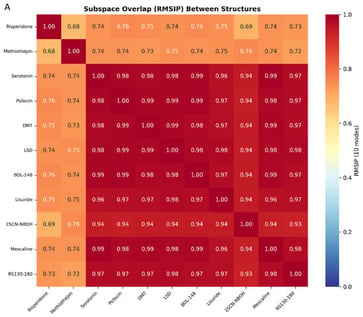 Experimental structure reference dynamics. (A) ANM RMSIP heatmap across all 11 experimentally determined structures; (B) per-residue ANM fluctuation profiles grouped by pharmacological category. Y-axis represents mean-square fluctuation at each Cα position; residues with higher values are predicted to be more flexible. Red lines orient pharmacological landmarks D155, L229, S242, W336, F340, N343, and Y370.