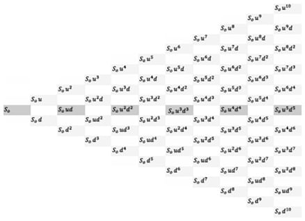 Binomial lattice tree used in the Real Options Valuation model (Fabianek et al. 2024; Kozlova 2017; Ofori et al. 2021; Pawlak 2024).