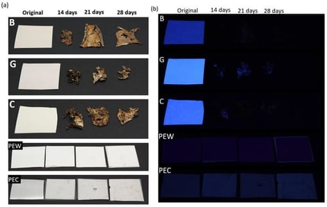 Visual evaluation of samples after aerobic biodegradation processes up to 28 days under (a) illuminant D50 and (b) illuminant UV.