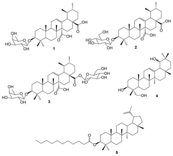 Structures of isolated compounds.