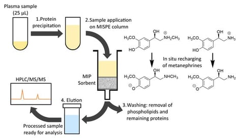 MRM chromatograms of MN (m/z 180.0 → m/z 148.0) and NMN (m/z 166.0 → m/z 134.0) for processed Level 1 quality control (QC1) (top) and processed blank plasma spiked with high concentrations of CAs and DOPA analogs (bottom).