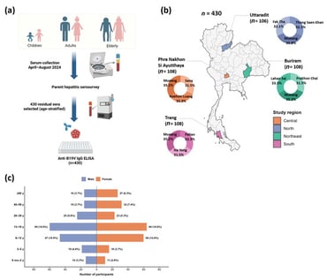 Study design, sampling framework, and demographic distribution of study participants. (a) Overview of specimen collection and testing workflow. (b) Geographic distribution of study participants across four provinces, one from each of the four regions of Thailand: Uttaradit (North, n = 106), Phra Nakhon Si Ayutthaya (Central, n = 108), Buri Ram (Northeast, n = 108), and Trang (South, n = 108). Donut charts show the proportion of participants contributed by each district within each province. (c) Age- and sex-specific distribution of study participants (n = 430), presented as a population pyramid showing the number and percentage of male and female participants in each age group.