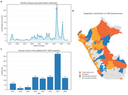 Temporal and geographic patterns of dengue-associated mortality, 2017–2024. (A) Monthly counts among all 987 certificates with A90/A91. (B) Main geographic classification on the fixed framework of 196 INEI provinces. (C) Annual certificate counts in the updated snapshot. Geographic emergence required no deaths during 2017–2019, at least one death during 2023–2024, and recent notified transmission.