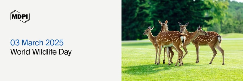 World Wildlife Day 2025—Wildlife Conservation Finance: Investing in People and Planet, 3 March 2025