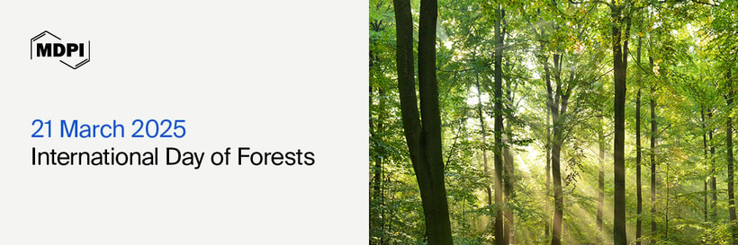 International Day of Forests—“Forests and Food”, 21 March 2025