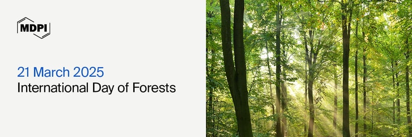 International Day of Forests—“Forests and Food”, 21 March 2025
