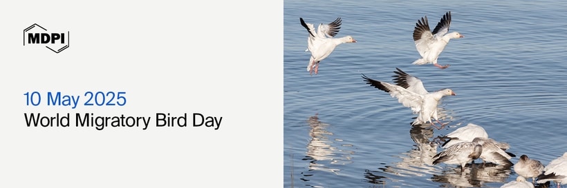World Migratory Bird Day—“Shared Spaces: Creating Bird-Friendly Cities and Communities”, 10 May 2025