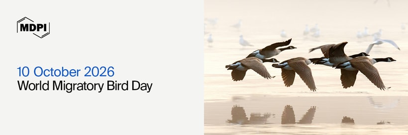 World Migratory Bird Day—“Every Bird Counts – Your Observations Matter!”, 10 October 2026