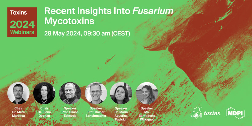 Toxins Webinar | Recent Insights Into Fusarium Mycotoxins, 28 May 2024