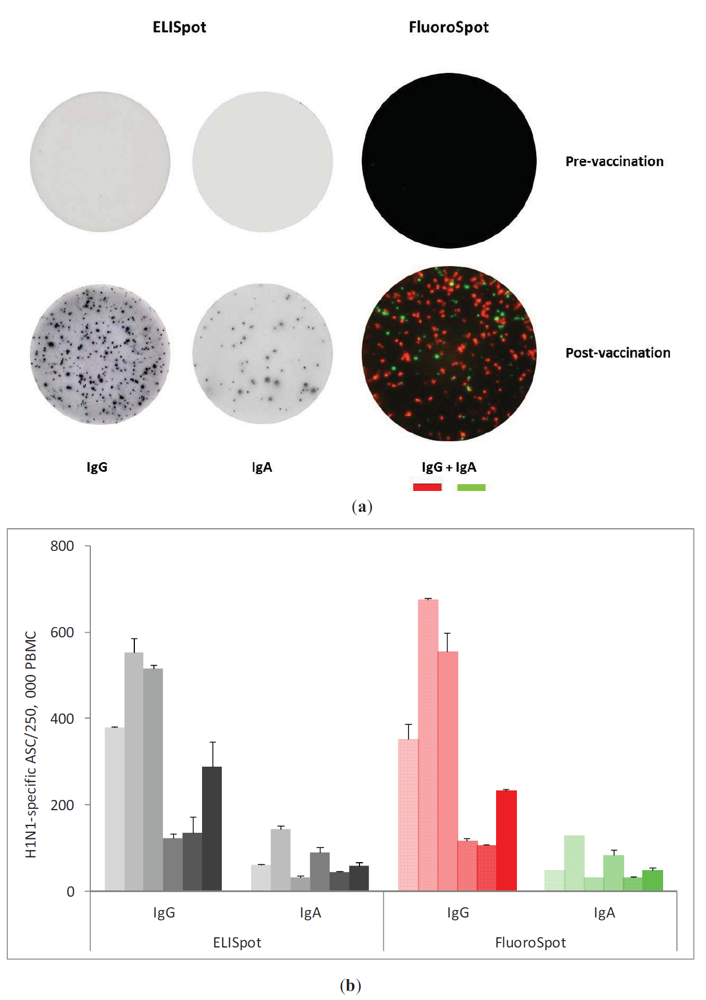 Cells 01 00027 g001 1024