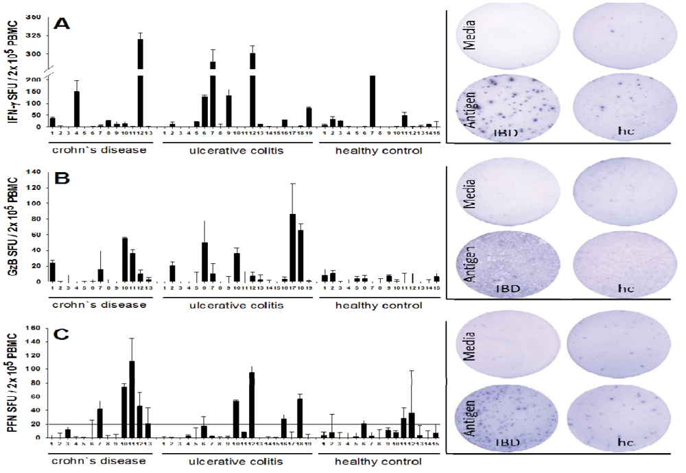 Cells 01 00035 g001 1024