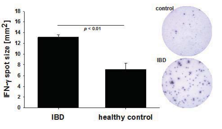 Cells 01 00035 g002 1024