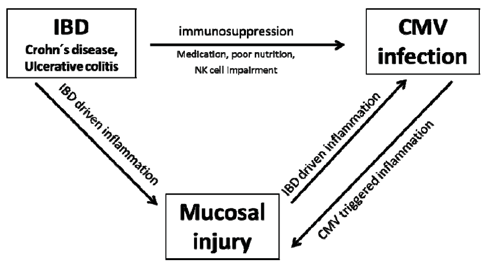 Cells 01 00035 g005 1024