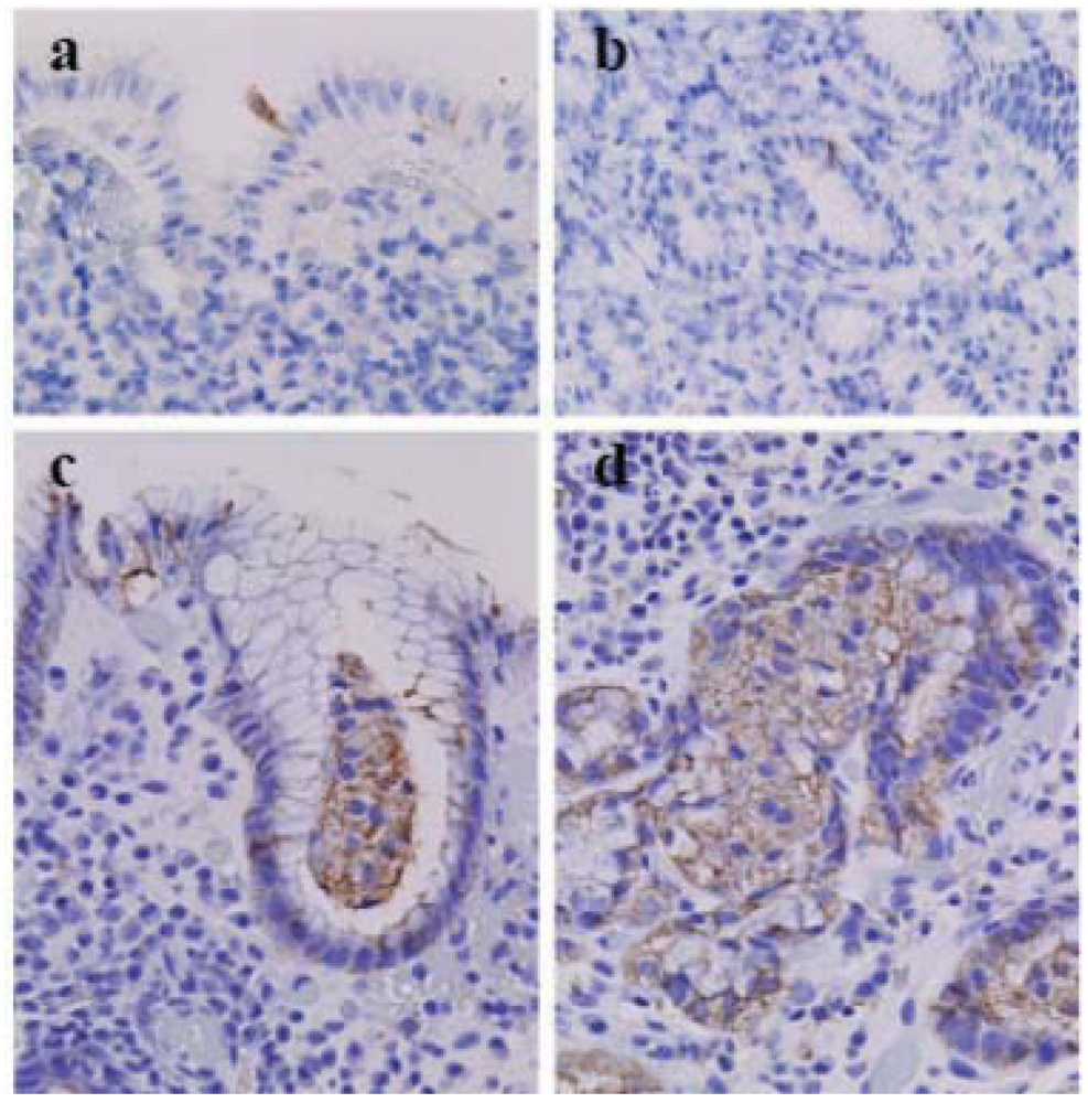 Cells 01 00074 g002 1024