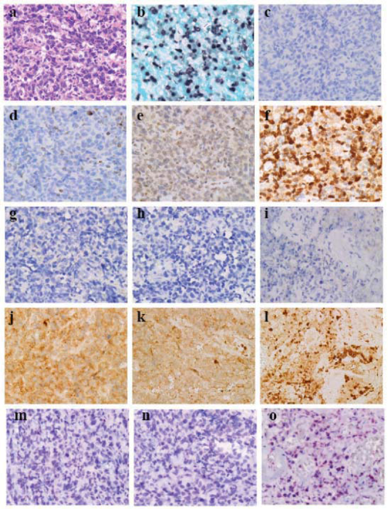 Cells 01 00074 g004 1024