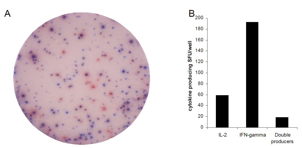 Cells 01 00127 g002 1024