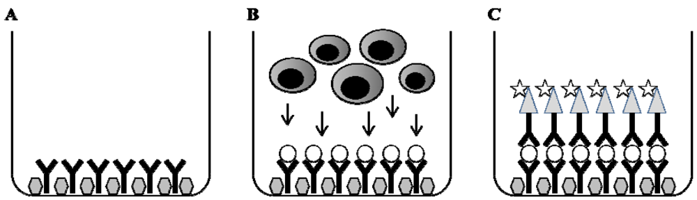 Cells 01 00141 g002 1024