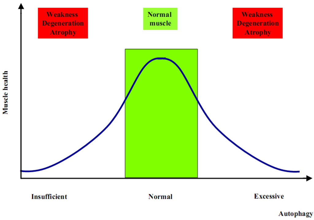Cells 01 00325 g001 1024