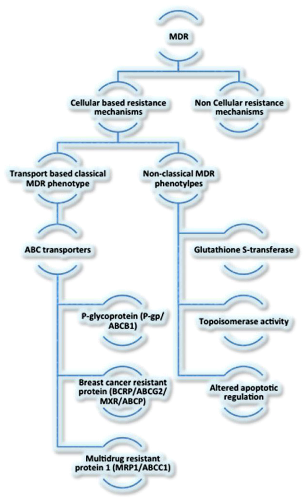 Cells 01 00558 g001 1024
