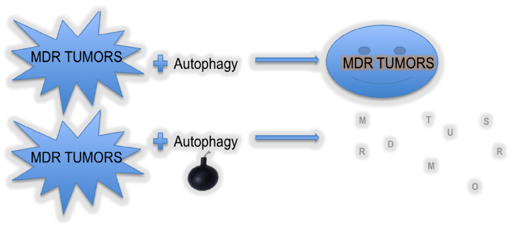 Cells 01 00558 g004 1024