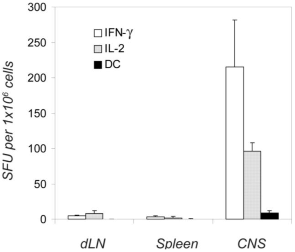 Cells 01 00576 g003 1024