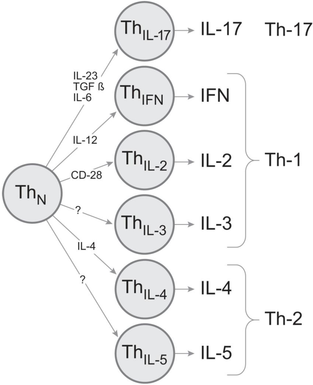 Cells 01 00576 g006 1024