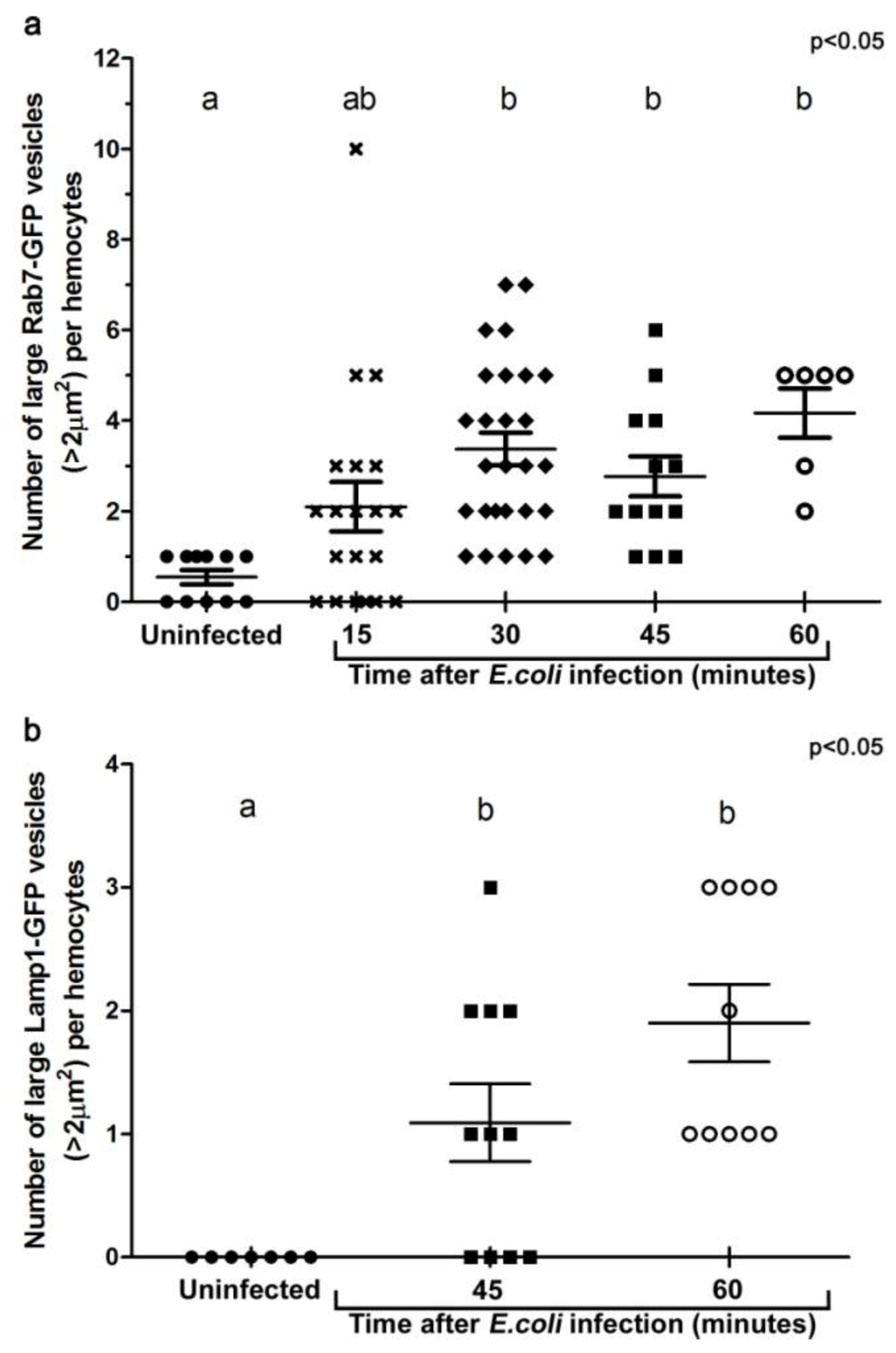 Cells 02 00188 g003 1024