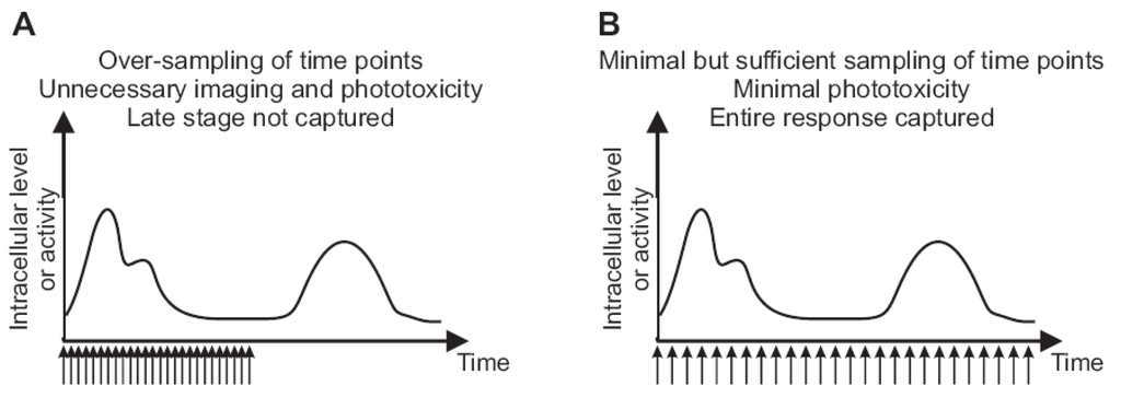Cells 02 00284 g003 1024