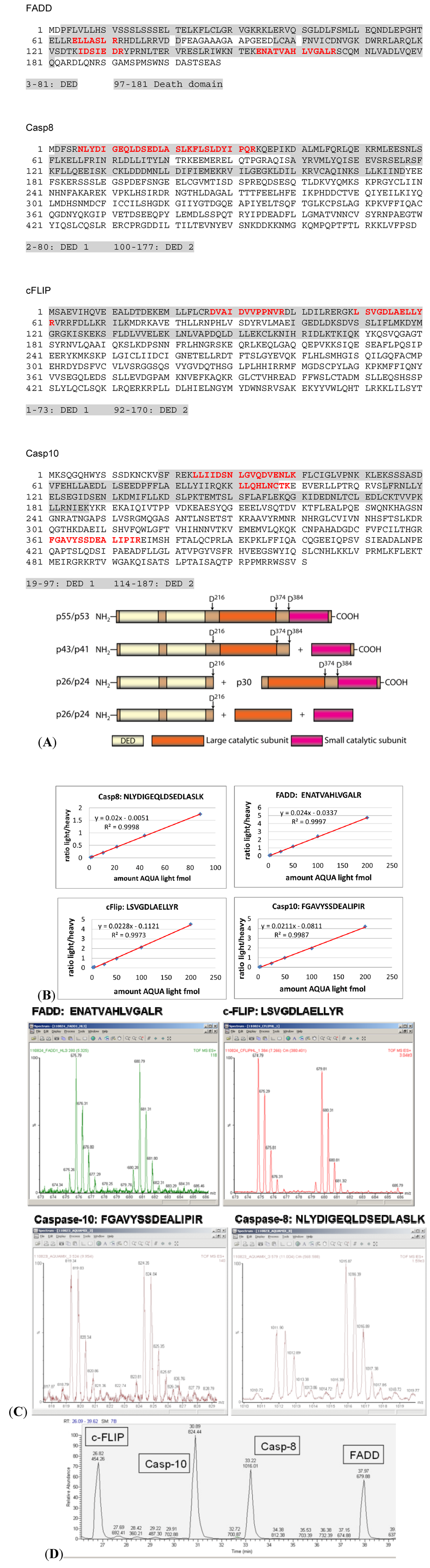 Cells 02 00476 g002 1024