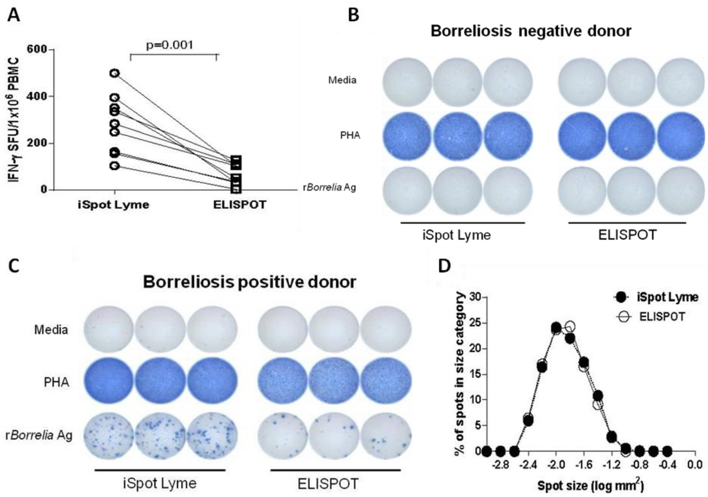 Cells 02 00607 g001 1024