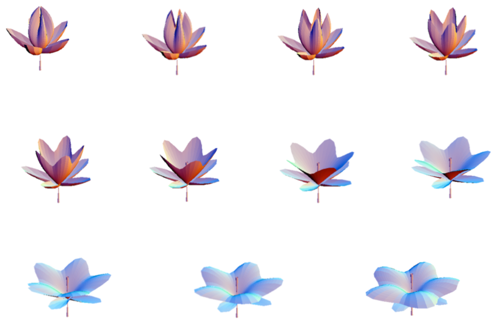 Cells 03 00001 g004 1024