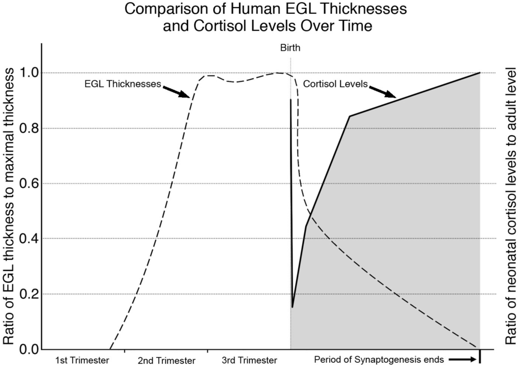Cells 03 00036 g003 1024