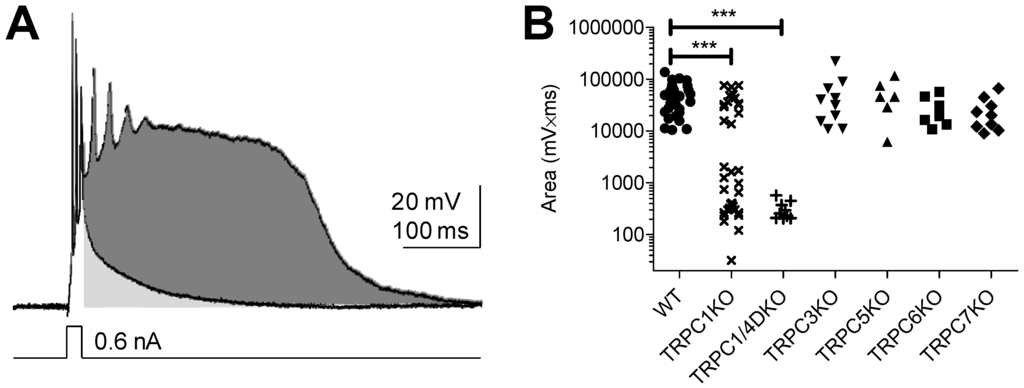 Cells 03 00288 g001 1024