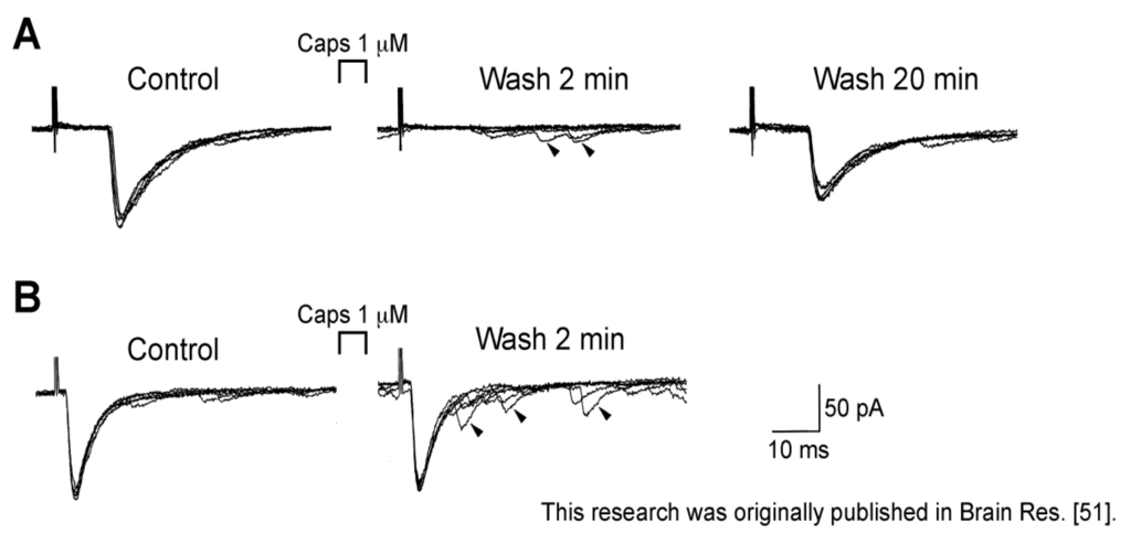 Cells 03 00331 g003 1024