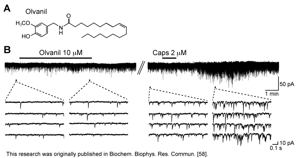 Cells 03 00331 g004 1024