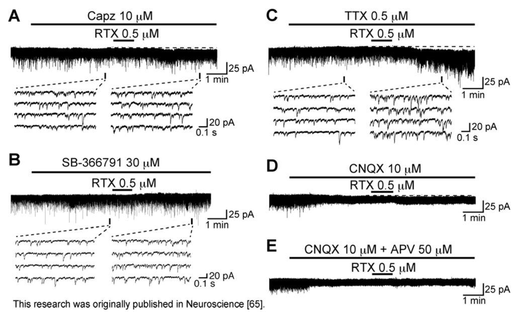 Cells 03 00331 g006 1024