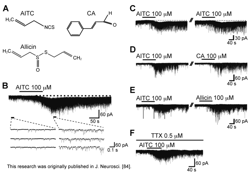 Cells 03 00331 g008 1024