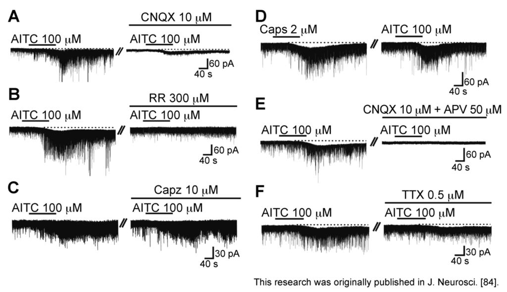 Cells 03 00331 g009 1024