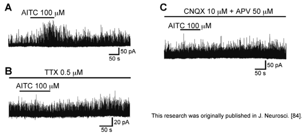 Cells 03 00331 g010 1024