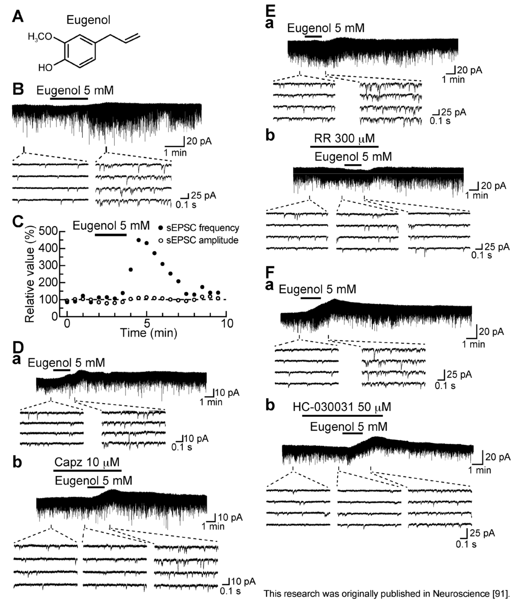 Cells 03 00331 g011 1024