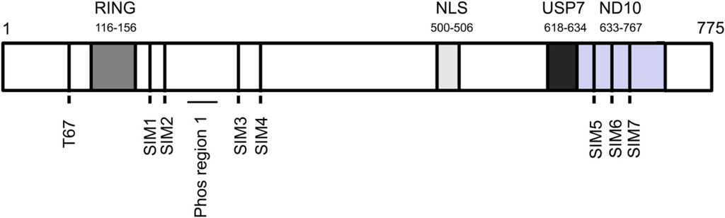 Cells 03 00438 g001 1024